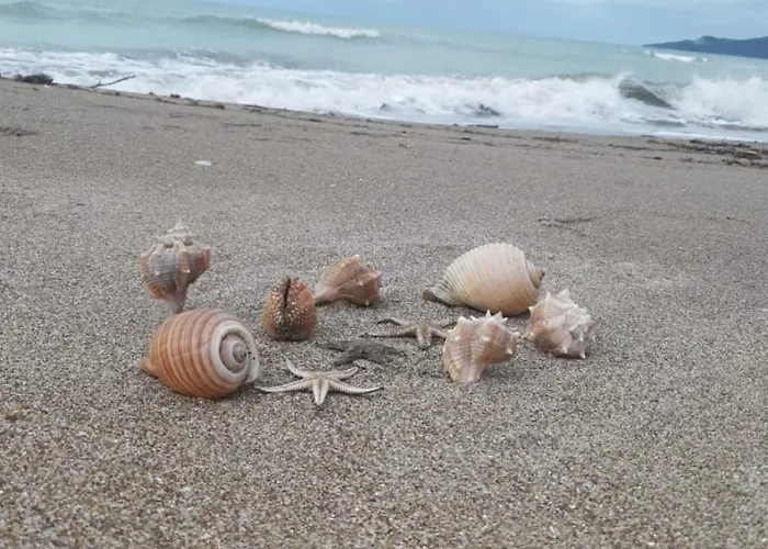 Valamar Garden Hamallaj *